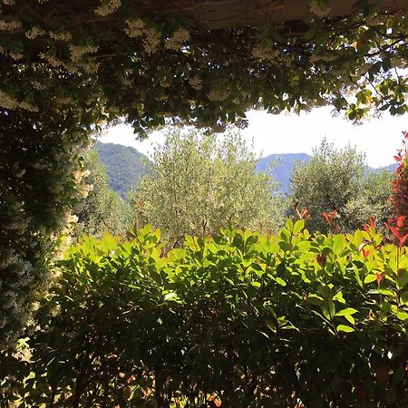 Agriturismo Tenuta La Fratta Bagni di Lucca Eksteriør billede