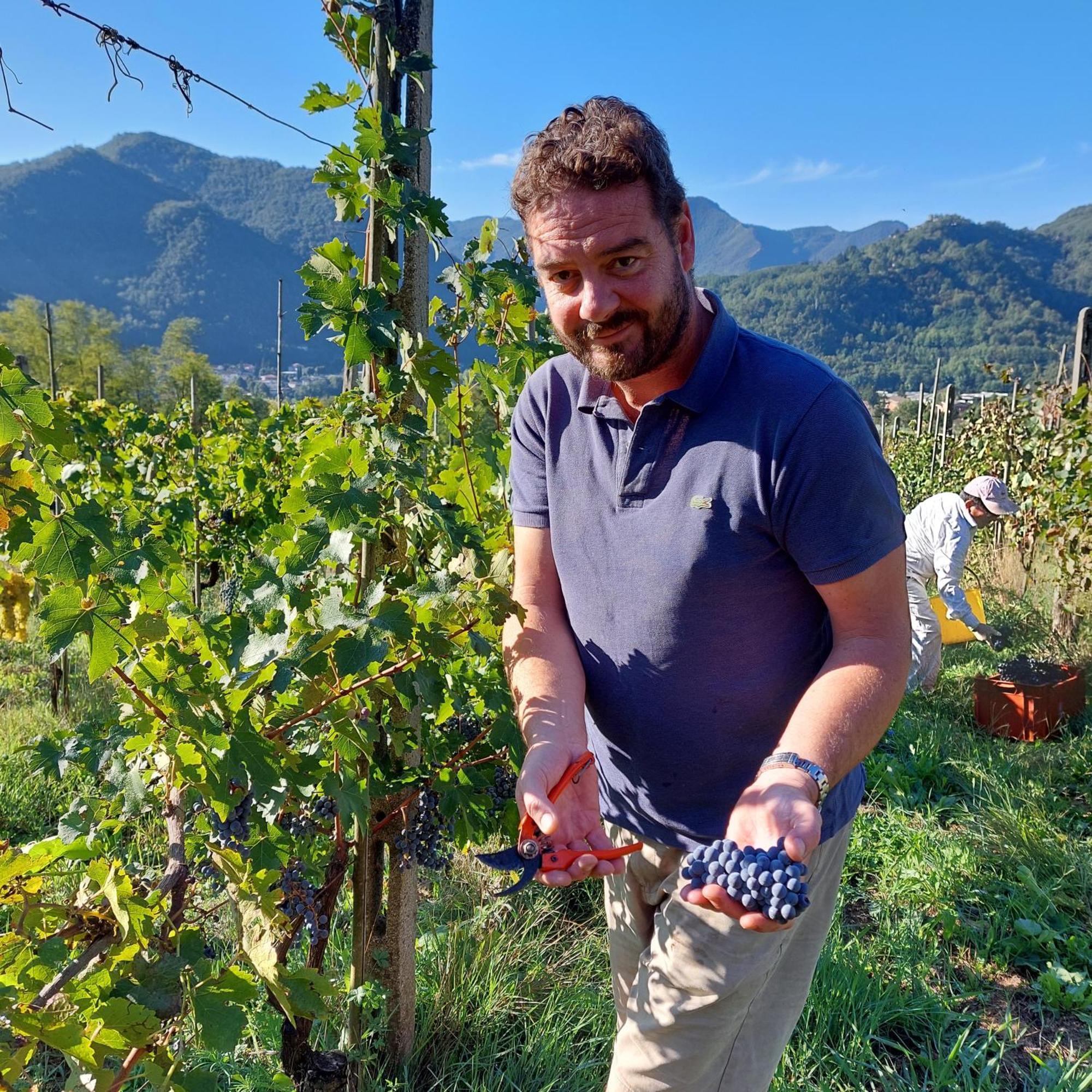 Agriturismo Tenuta La Fratta Bagni di Lucca Eksteriør billede