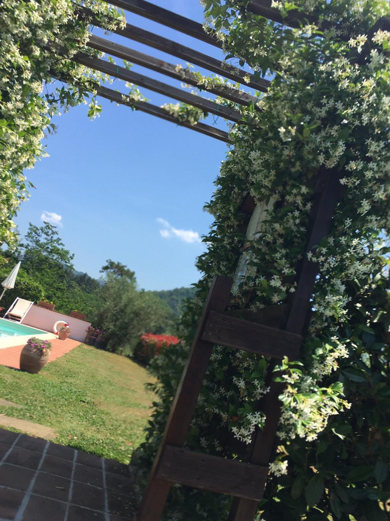 Agriturismo Tenuta La Fratta Bagni di Lucca Eksteriør billede