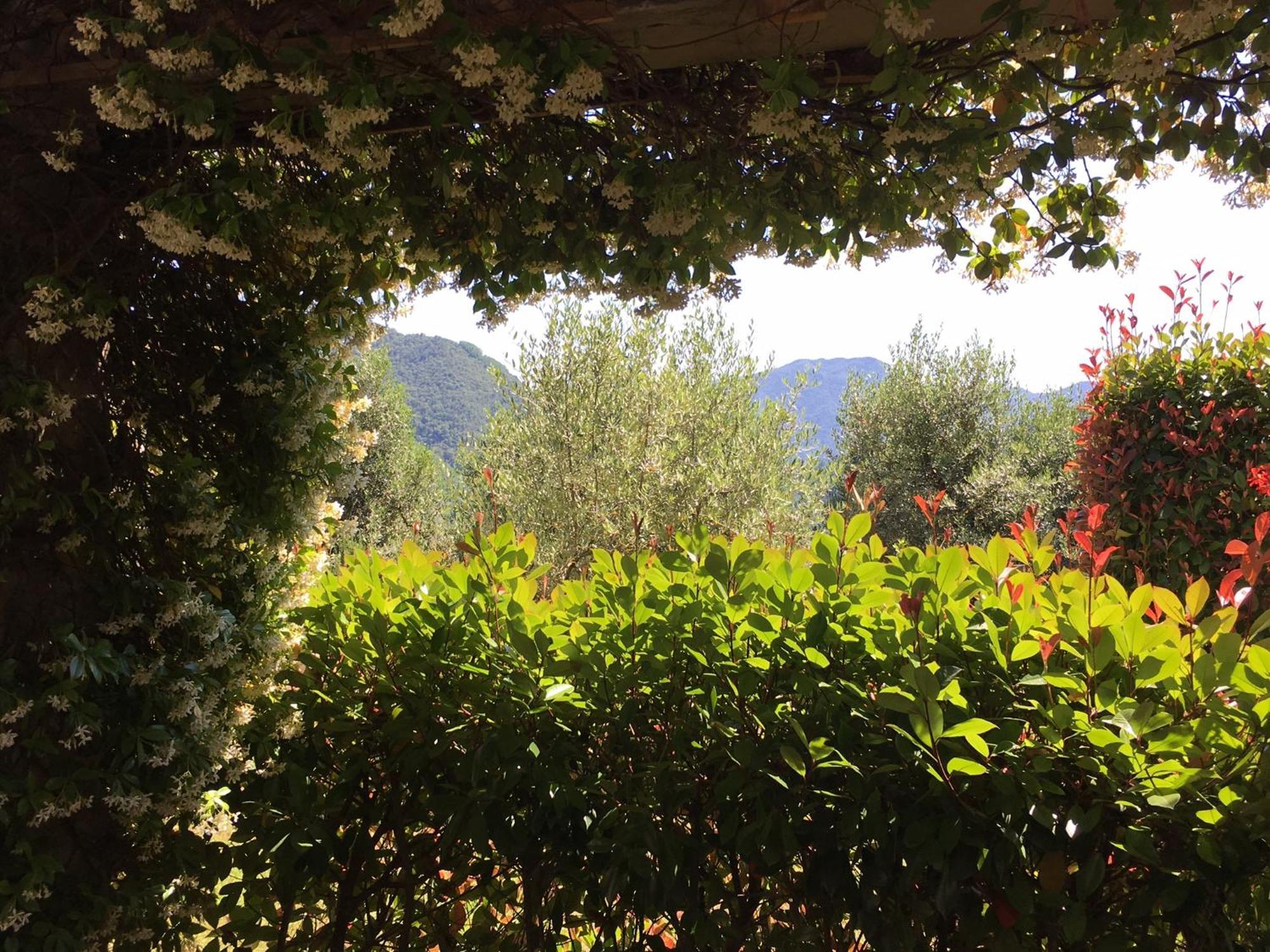 Agriturismo Tenuta La Fratta Bagni di Lucca Eksteriør billede