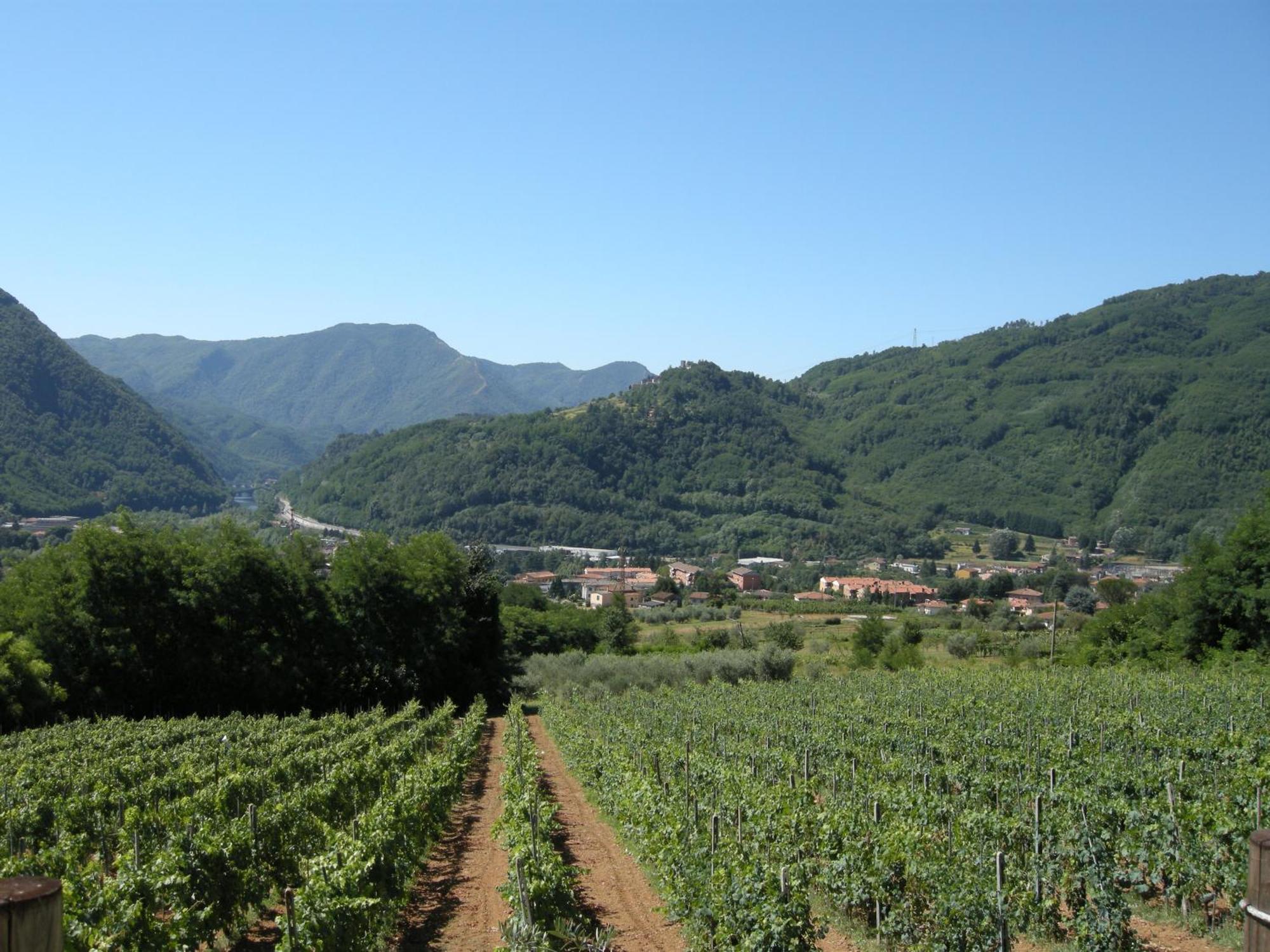 Agriturismo Tenuta La Fratta Bagni di Lucca Eksteriør billede