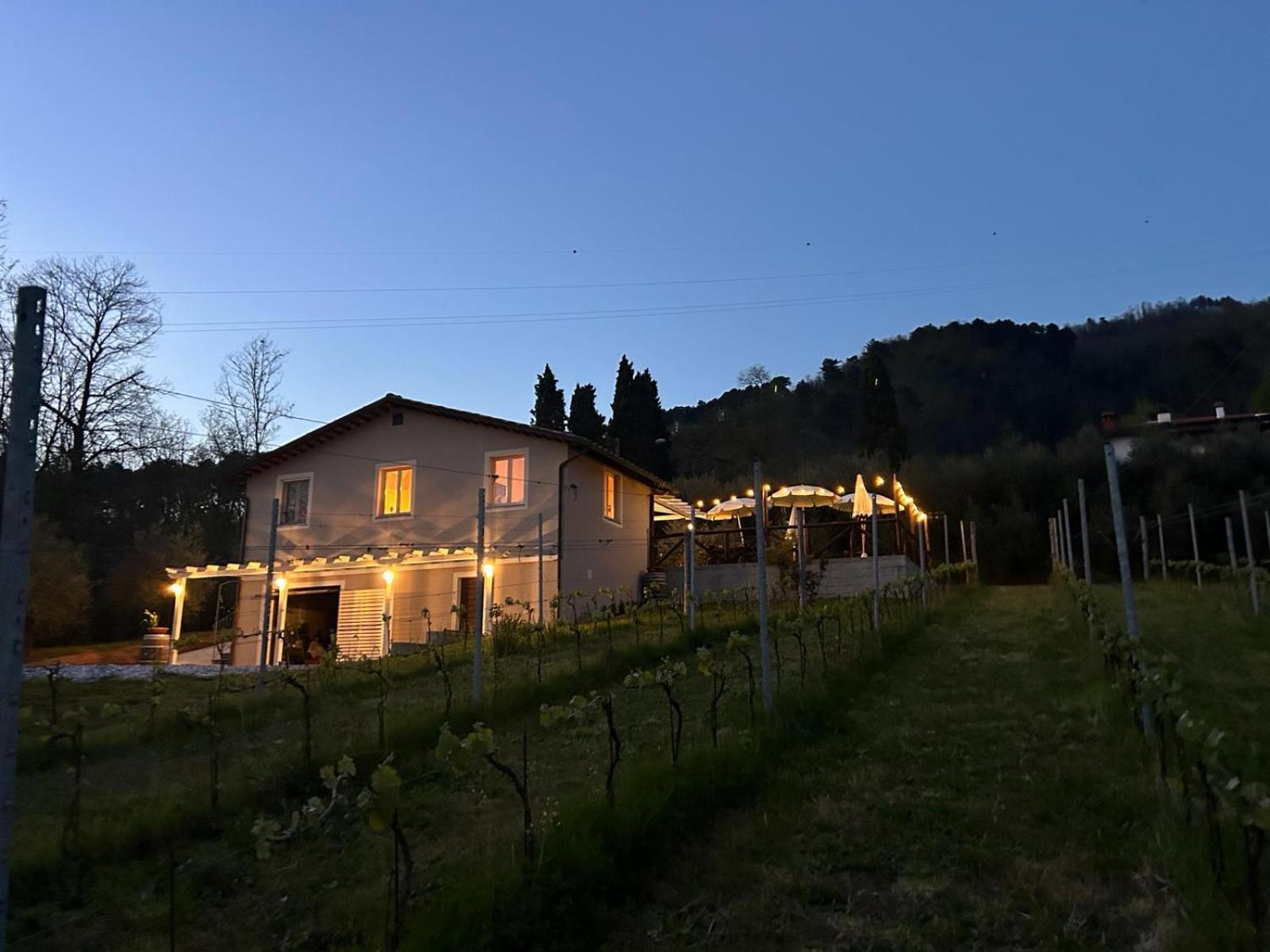Agriturismo Tenuta La Fratta Bagni di Lucca Eksteriør billede