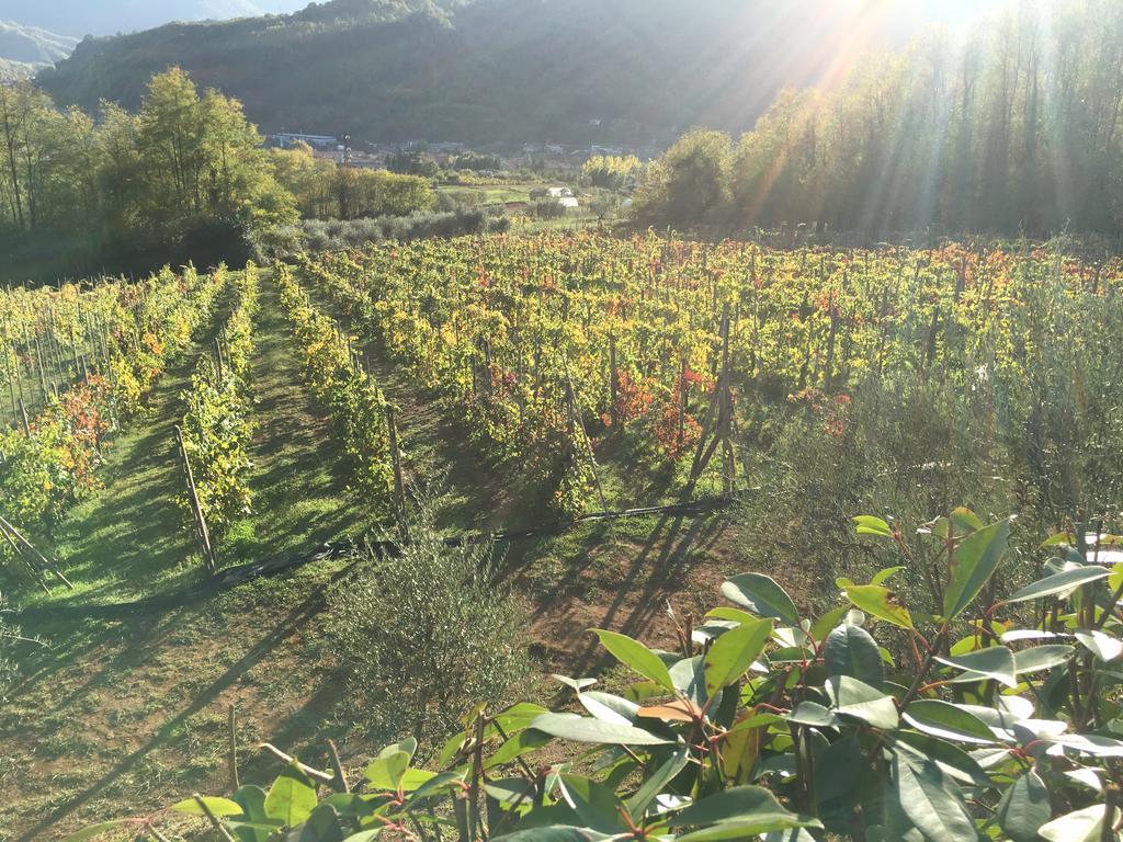 Agriturismo Tenuta La Fratta Bagni di Lucca Eksteriør billede
