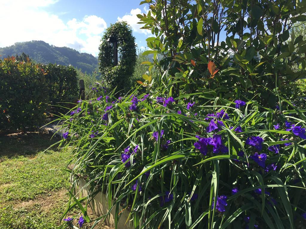 Agriturismo Tenuta La Fratta Bagni di Lucca Eksteriør billede