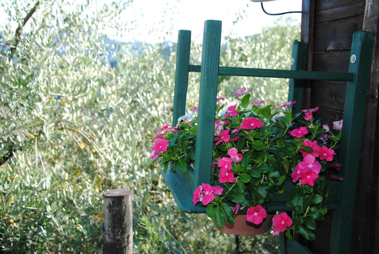 Agriturismo Tenuta La Fratta Bagni di Lucca Eksteriør billede