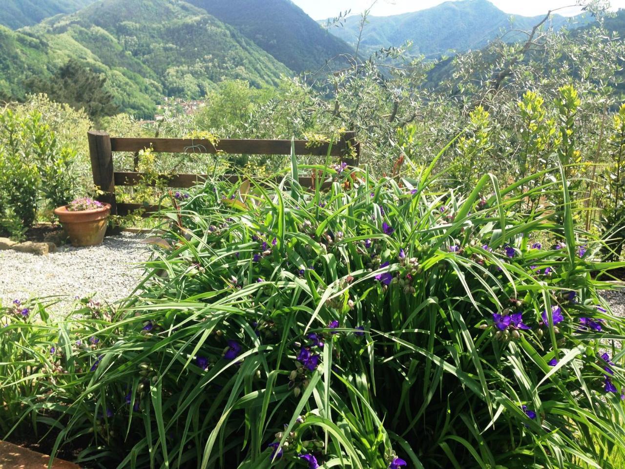 Agriturismo Tenuta La Fratta Bagni di Lucca Eksteriør billede