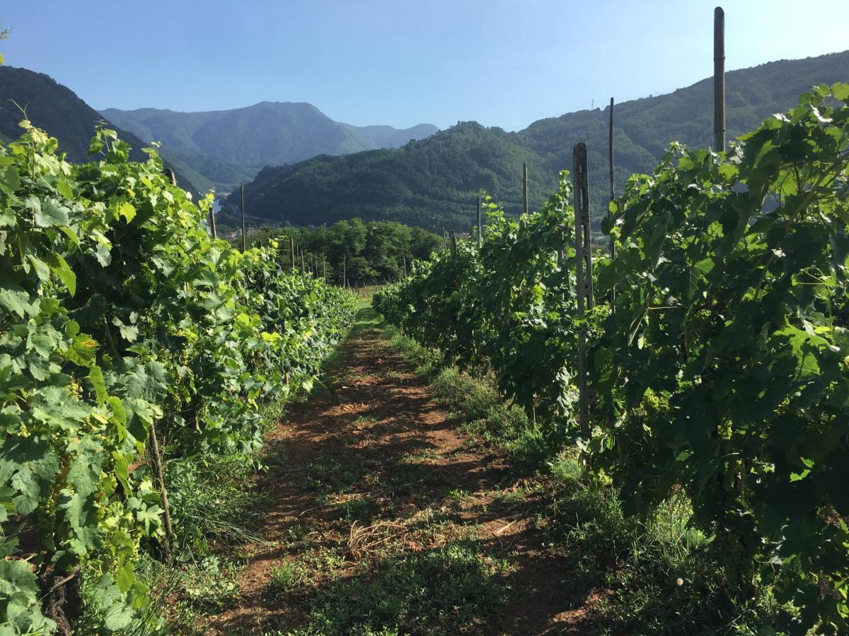 Agriturismo Tenuta La Fratta Bagni di Lucca Eksteriør billede